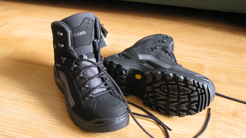 Botas Lowa