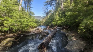 Cómo visitar el Parque Nacional Huerquehue