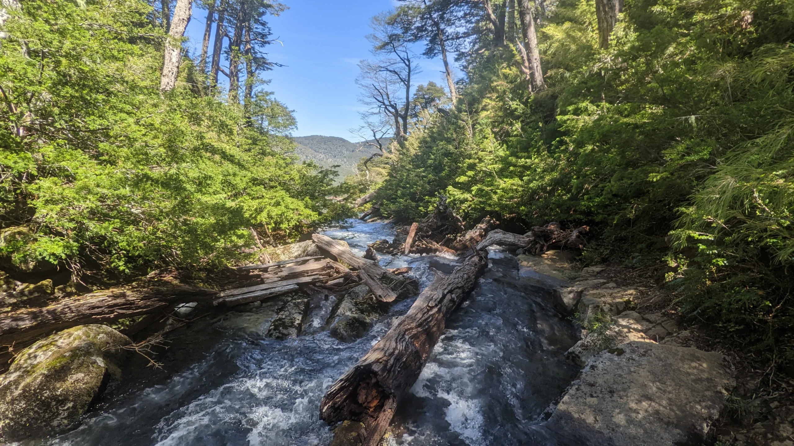 Cómo visitar el Parque Nacional Huerquehue