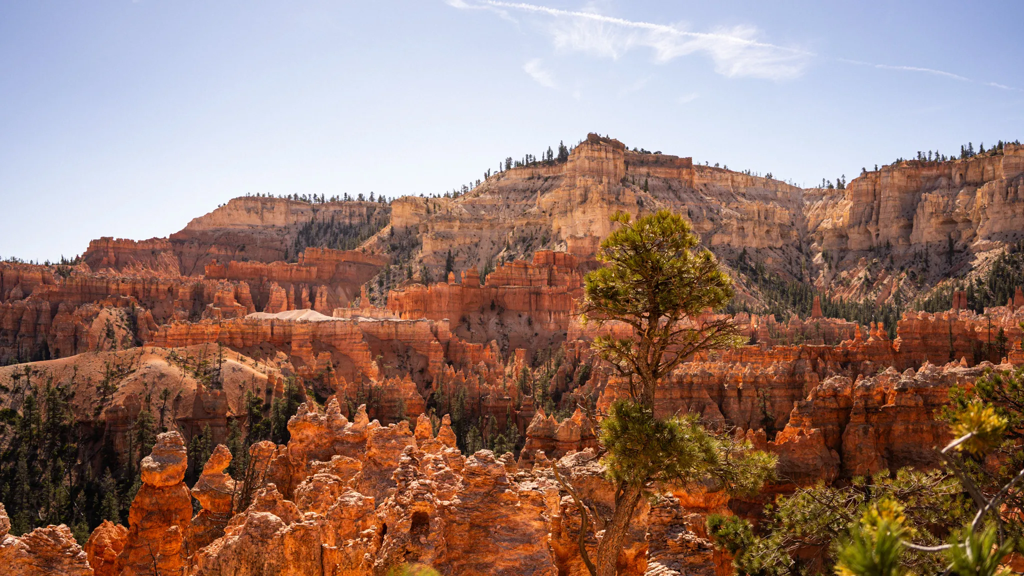 Cómo visitar Bryce Canyon