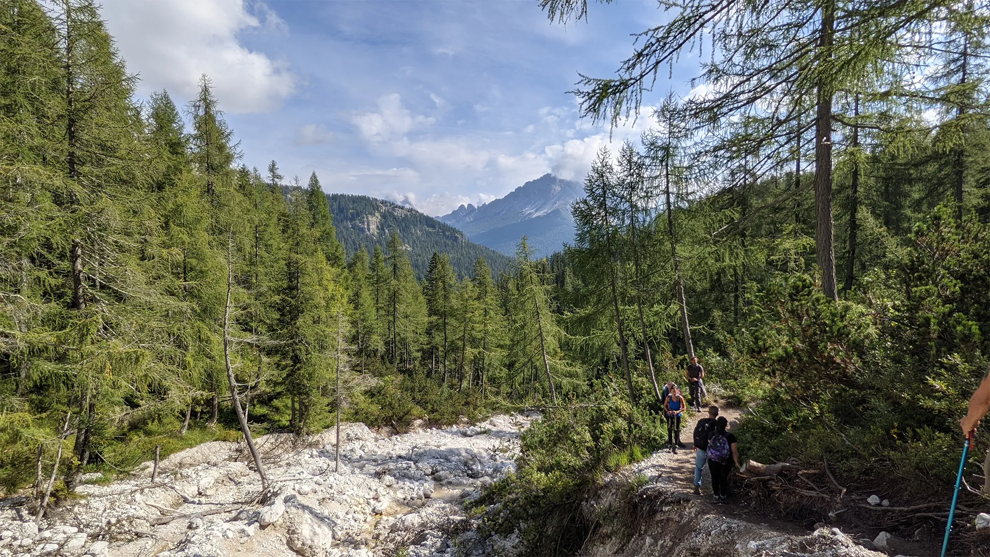 Bosque al inicio del trekking del lago di Sorapis