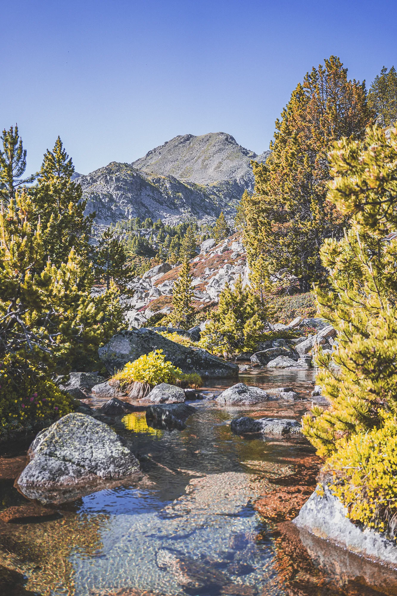 Paisaje durante la ruta de los lagos de Pessons.